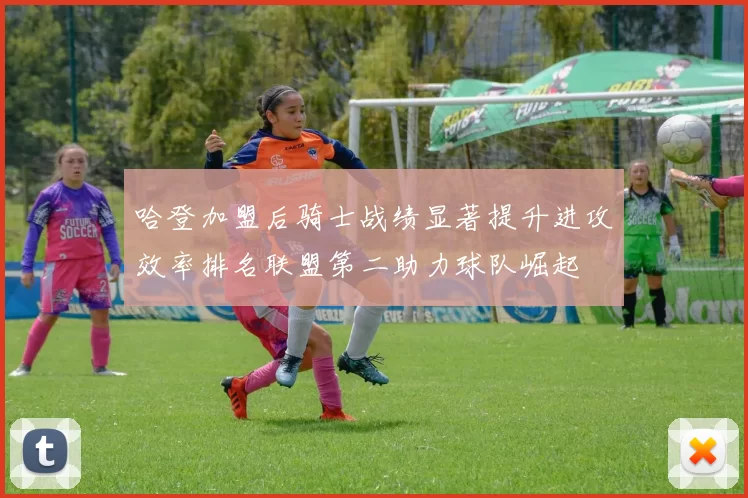 哈登加盟后骑士战绩显著提升进攻效率排名联盟第二助力球队崛起