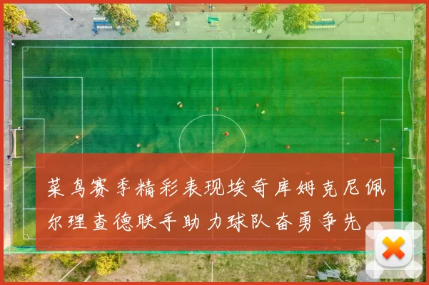 菜鸟赛季精彩表现埃奇库姆克尼佩尔理查德联手助力球队奋勇争先